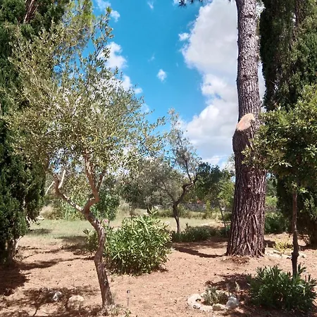 Qui Vive Un Sogno - Soggiorno Con Percorsi Olistici Roccastrada