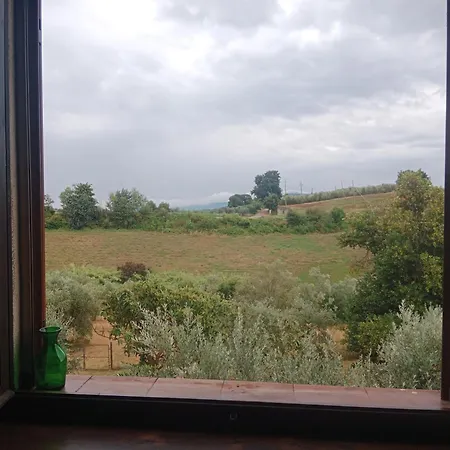 Qui Vive Un Sogno - Soggiorno Con Percorsi Olistici